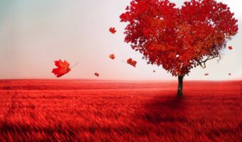 psychological lifeline