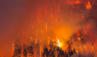 1800x1200_wildfires-lrg