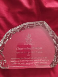 A photograph of an award.